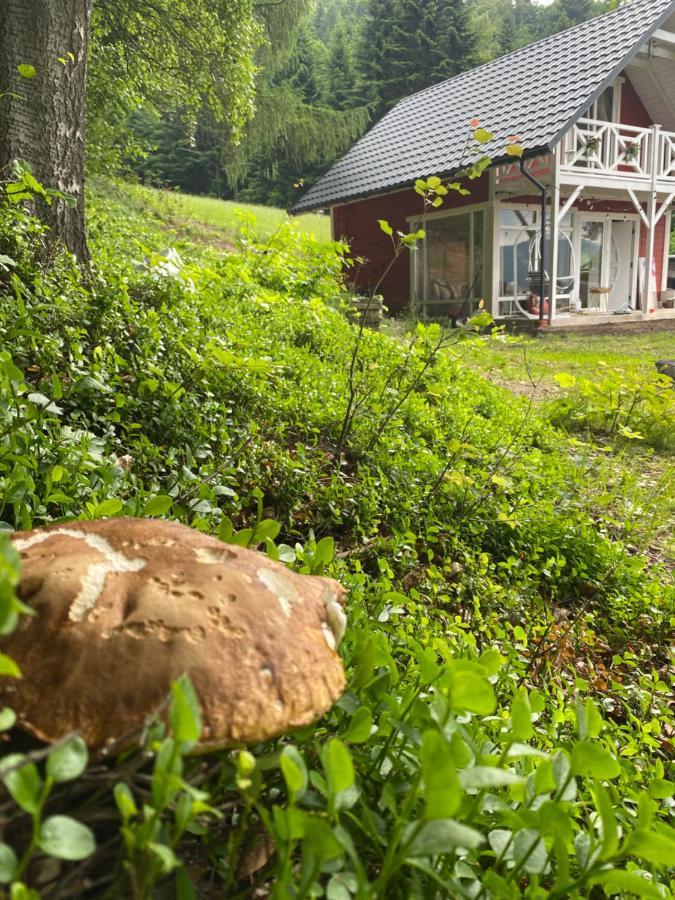 Forest House Targanice Eksteriør billede