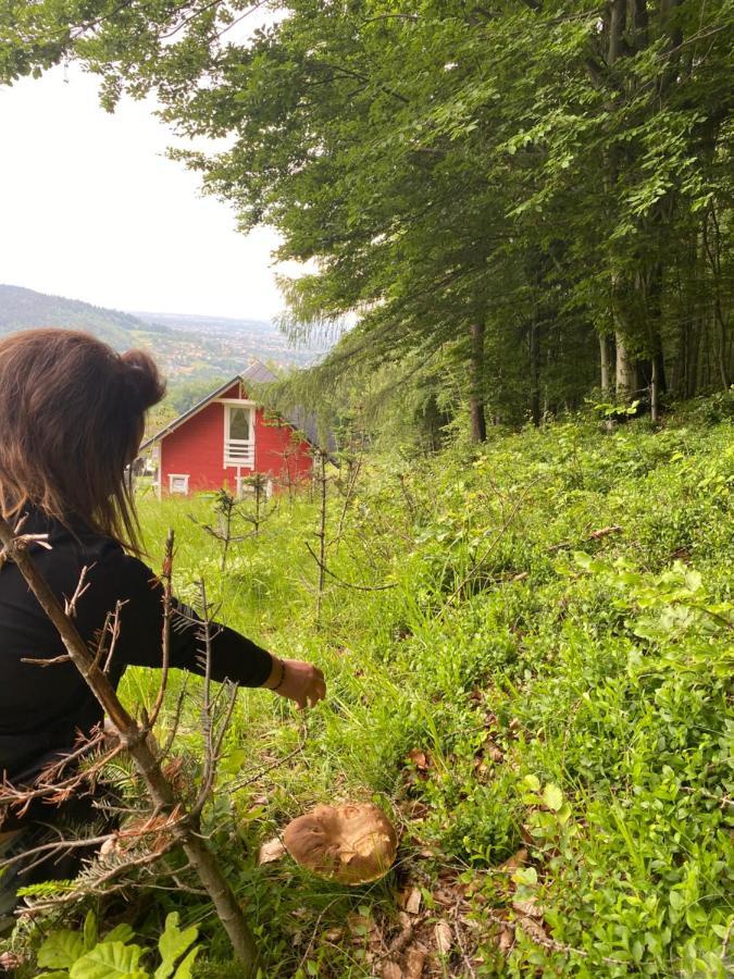 Forest House Targanice Eksteriør billede