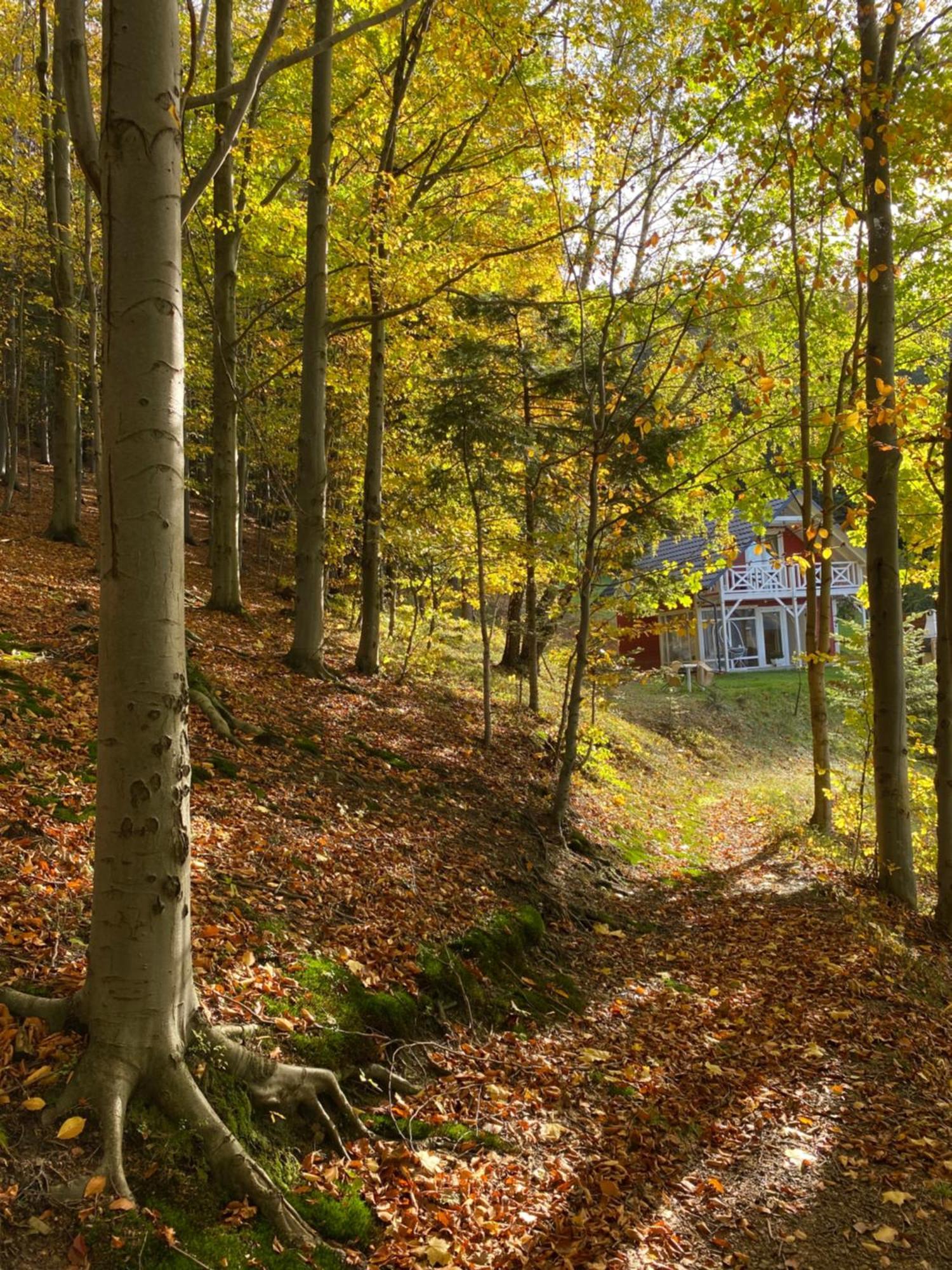 Forest House Targanice Eksteriør billede